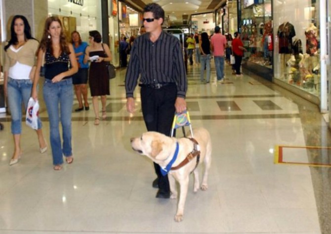 Invidentes Pueden Ingresar Con Perros Guia A Los Supermercados