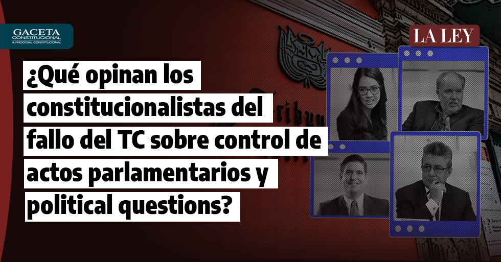 ¿Qué opinan los constitucionalistas del fallo del TC sobre control de actos parlamentarios y political questions?