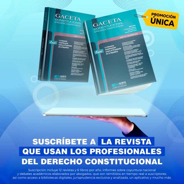 23 sentencias relevantes resueltas por jueces constitucionales del Poder Judicial en 2022, por Arturo Crispín Sánchez, y Rubí Prado Chávez