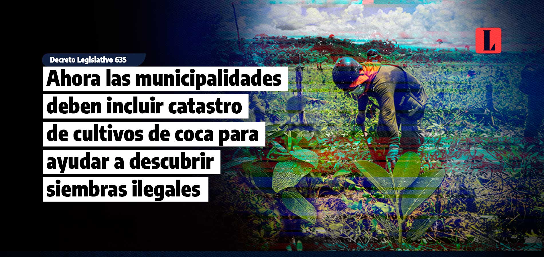 Ahora las municipalidades deben registro catastral de áreas de cultivos de coca para ayudar a detectar siembras ilegales (tráfico ilícito de drogas)